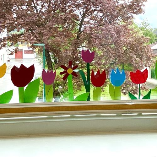 Blumen an den Klassenfenstern  